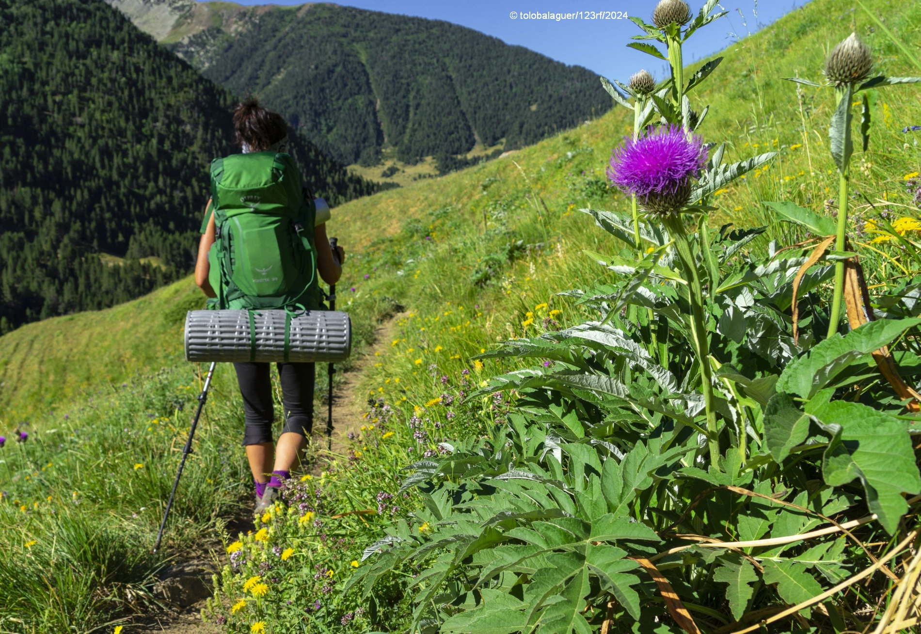 Lettura in spagnolo con esercizi: Los Pirineos, entre España y Francia